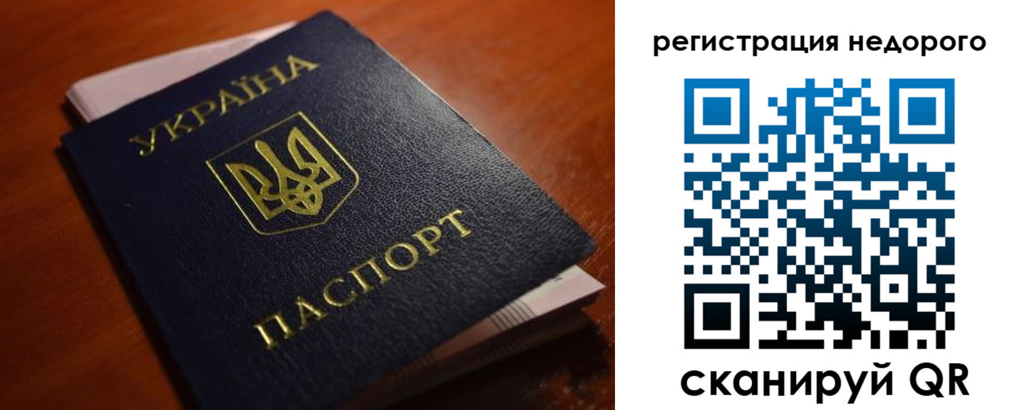 где прописаться в Волхове